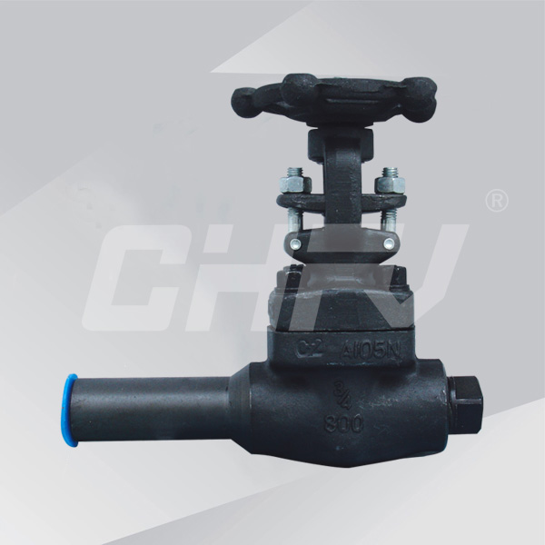 �����L�y�w�l�y