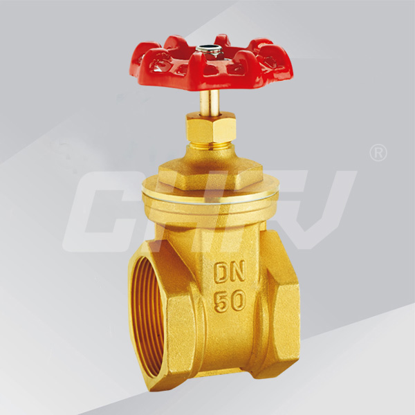 �S�~���m�l�y